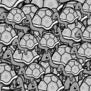 The Turtle's Dwelling