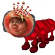 Wiggler Gang