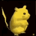Nammy's server