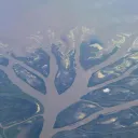 The Delta