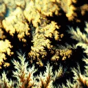 /r/CurrentlyTripping