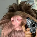 Teddy Cult Gaming