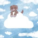 Above the Clouds ☁