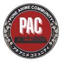 Pune Anime Community Discord Server Icon