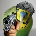 BIG BORB BOIS