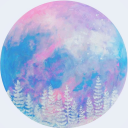 aurora skies