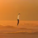 THE NATIONS's icon