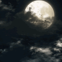 ˒〘🌙〙⋅𝐈𝐠𝐫𝐞𝐣𝐚 𝐏𝐫𝐨𝐟𝐚𝐧𝐚 𝐃𝐨𝐬 𝐏𝐫𝐚𝐳𝐞𝐫𝐞𝐬⋅