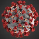 Coronavirus COVID-19