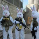 Rabbit'S
