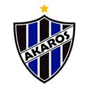   Akaros Team   Discord Server Icon