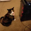 TheSmokingCheddar's server