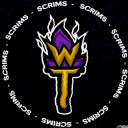 Discovery icon for TW Scrims Discord server
