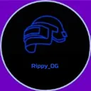 Rippy's server