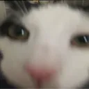 yes