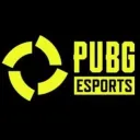 PIC PUBG