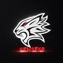 sense69 Discord Server Icon