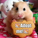 ðŸ¹ Ð¥Ð¾Ð¼ÑÑ‡ÐºÐ¸ðŸ¹ Adopt me! Server Icon