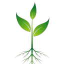 Sprout Gaming