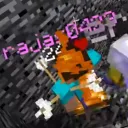 Rajas0423's Server