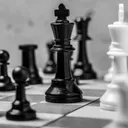 Chess Trainer 2000