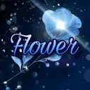 🌹 Flower 🌹