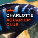 Charlotte Aquarium Club