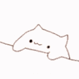 FalcoLow
