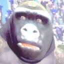 congregation Discord Server Icon
