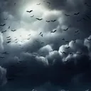 Get Your Head in the Clouds