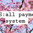 All Payment System
