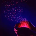 HikariCafe ﴾𓃰﴿