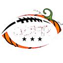 Old Collegiate Football Association Discord Server Icon