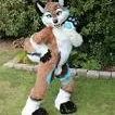 FoxyFriend's server