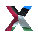 Project X Discord Server Icon – Valorant