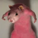 the rat house