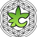 Casablanca 21+