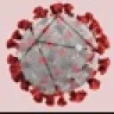 Quarantine Community