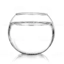 The Fishbowl