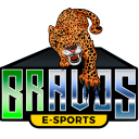 BRAVOS E-SPORTS