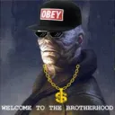 CoolGuy's hideout: TI4 APAC