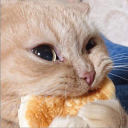 silly biscuits icon