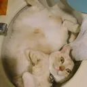 まじあに通話チャンネル