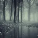 Deadwoods