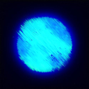 TUX CLAN Discord server icon