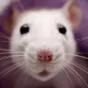 RAT - tweaker (pro)