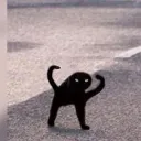 ForcefulOrange