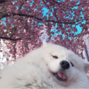 ❀｡˚︰𝐦𝐢𝐫𝐮𝐤𝐮・revamping icon