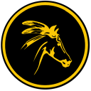 CM Speedrunners avatar