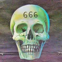 666